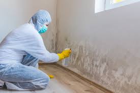 Professional Mold Inspection in Beckley, WV